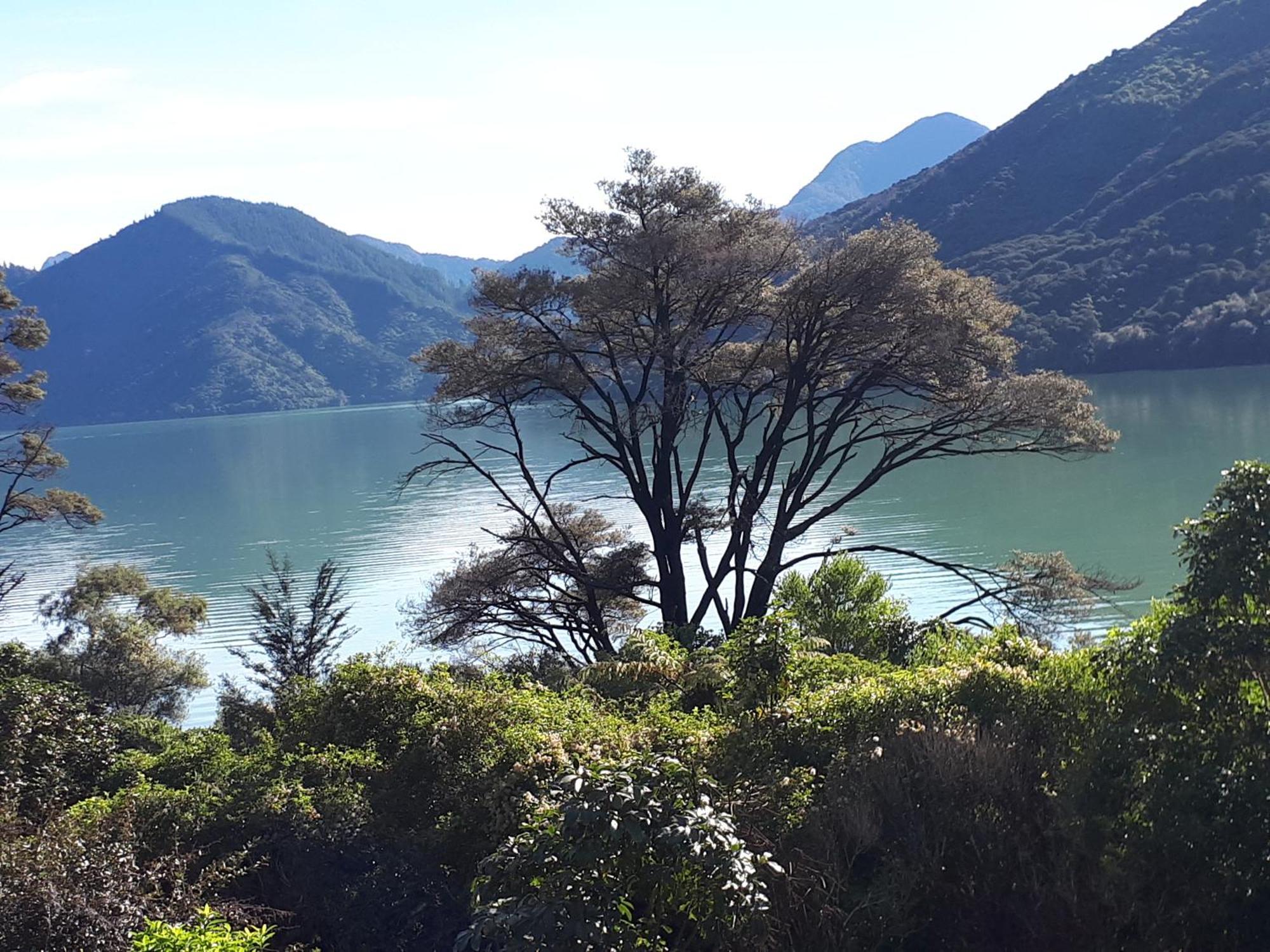 Marlborough Sounds Accommodation Хавлок Екстериор снимка